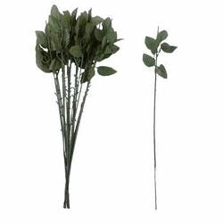 Поодинокі ніжки