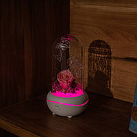 Аромалампа-нічник з живою Рожевою трояндою в колбі та LED підсвічуванням (різні кольори) для ефірних олій на подарунок