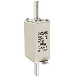 Запобіжник ножовий з плавкою вставкою NH0 100A gG