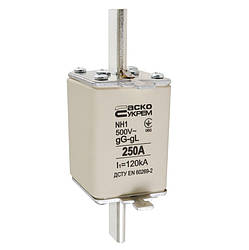 Запобіжник ножовий з плавкою вставкою NH1 250A gG