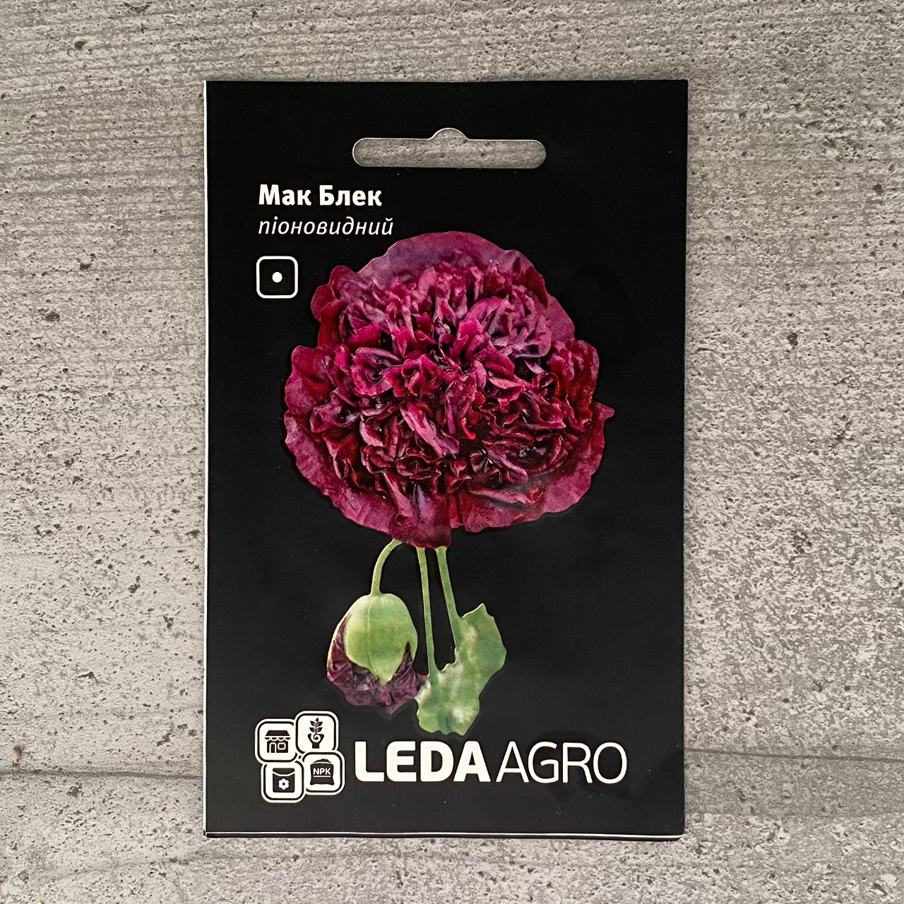 Мак піоновидний чорний Блек 0,2 г насіння пакетоване Leda Agro, фото 1