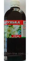 Інсекто-фунгіцид Брунька 250мл
