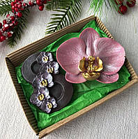 Шоколадная орхидея и восьмерка