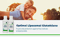 Seeking Health Optimal Liposomal Glutathione ліпосомальний глутатіон, Tropical 120 ml. BX798, фото 2