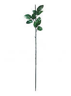 Ножка одиночная под розу, 3 тройных листа , 670мм