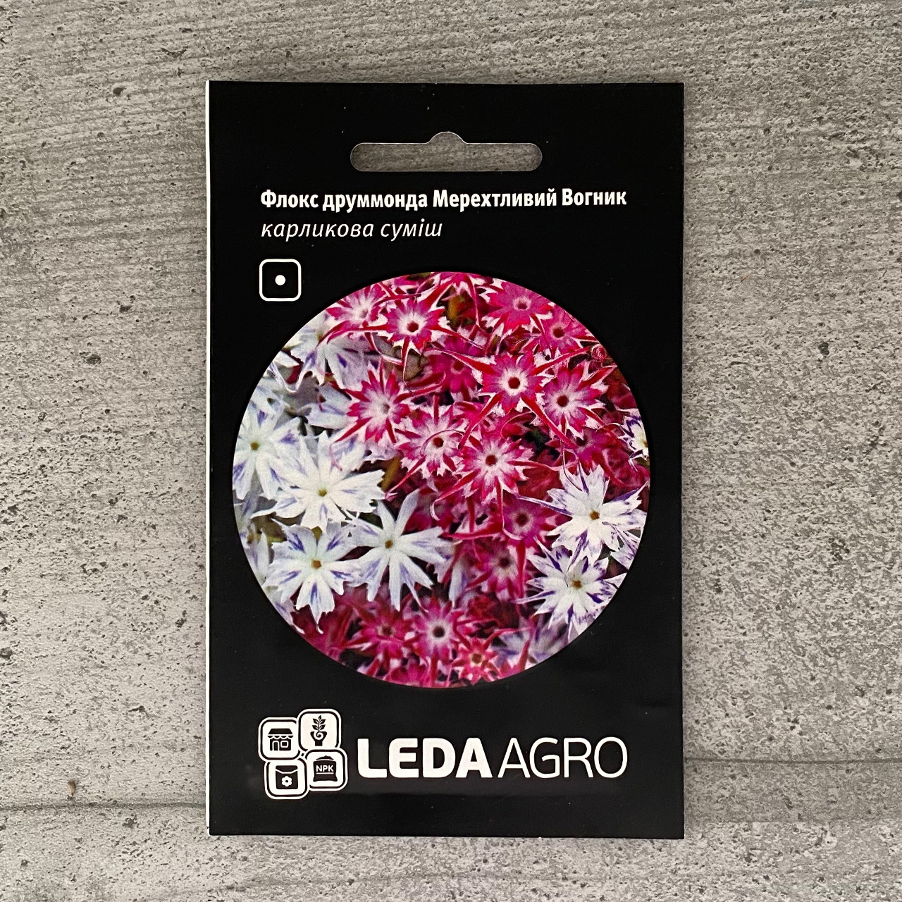 Флокс друммонда Мерехтливий вогник 0,2 г насіння пакетоване Leda Agro