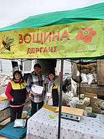 Основний розділ