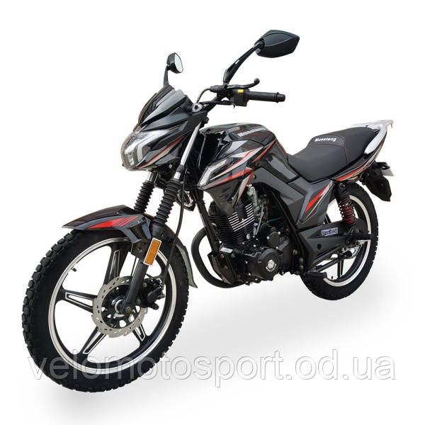 Мотоцикл Musstang Region MT200, фото 1