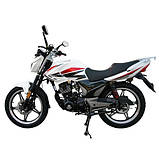 Мотоцикл Musstang Region MT200, фото 6