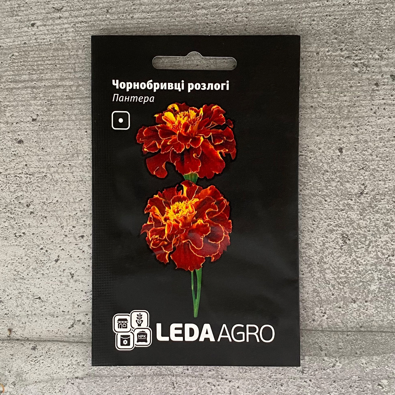 Чорнобривці розлогі червоні Пантера 0,25 г насіння пакетоване Leda Agro, фото 1