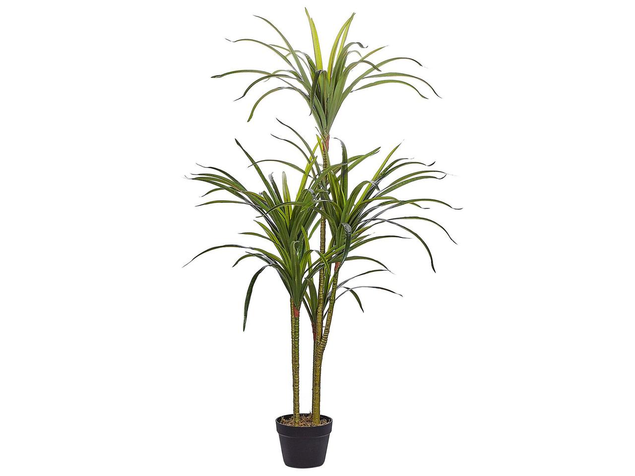 Штучне рослина в горщику 147 см DRACAENA ANITA