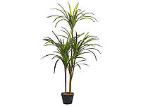 Искусственное растение в горшке 147 см DRACAENA ANITA