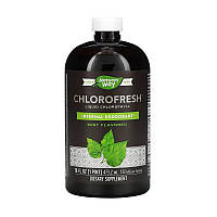 Жидкий хлорофилл Nature's way Chlorofresh Liquid Chlorophyll (473 ml)