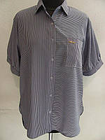 Класична річна блуза-сорочка з тканини софт під спідницю або штани