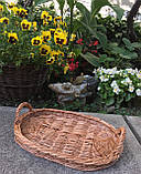 Поднос "Донышко", фото 4