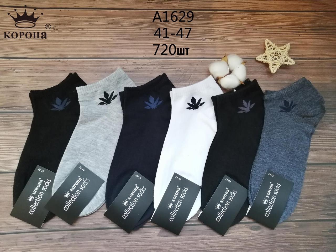 Шкарпетка чоловіча 41-47 бавовна коротка, фото 1