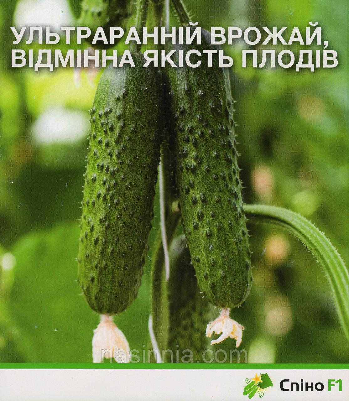 Огірок Спіно F1 50 насінин