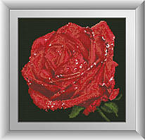 30525 Червона троянда. Dream Art. Набір алмазного живопису (квадратні, повна)