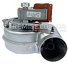 Вентилятор Ferroli DOMINA N Diva Domitech Divatop 39818021 Fime GR03225 60W, фото 4