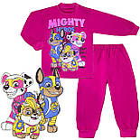 Водолазка та штани Щенячий патруль начіс  04.02.11, фото 5