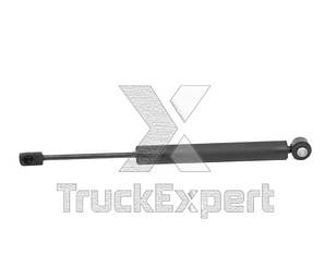 Амортизатор шумозахисту двигуна Даф XF 95/105 1323677 (Truck Expert) 47666001TE