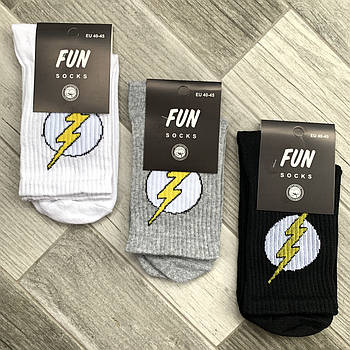 Шкарпетки чоловічі демісезонні спортивні бавовна Fun Socks, розмір 40-45, високі, асорті, 02137