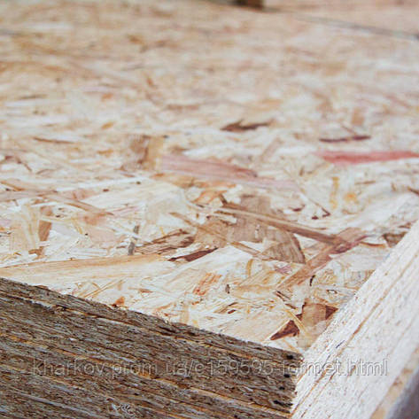 OSB-3 8*2500*1250 EGGER, фото 2