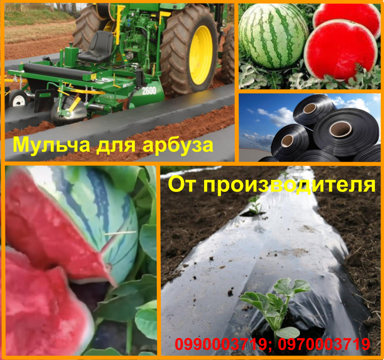 Мульча для арбуза 800мм*30мкн*1000м.п СЕРОЕ - фото 1 - id-p1585196857