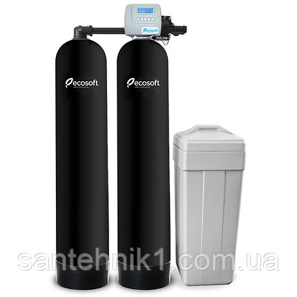 Фільтр зневоднення та пом'якшення води Ecosoft FK 1665CE Twin, фото 1