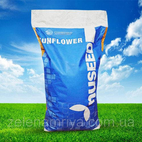 Насіння соняшнику Н4Х470КЛП ( Nuseed )