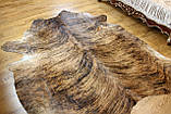 Шкура Корови рудувато-коричнева велика тигрова, фото 5