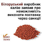 Білоруський виробник калію заявивши про неможливість виконати поставки через санкції