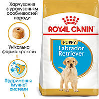 Royal Canin Labrador Retriever Puppy (Роял Канін Лабрадор Ретрівер Папі)  корм для цуценят, 3 КГ