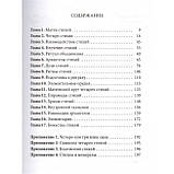 Практична магія стихій. Магія чотирьох стихій в західній мистериальной традиції. Рэнкин Девід, Д'есте Сорита, фото 3