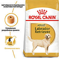 Royal Canin Labrador Retriver 30 Adult сухий корм для собак від 15 місяців 3КГ, фото 1