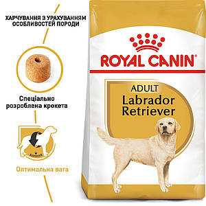 Купить Royal Canin Golden Retriver (Роял Канин Голден Ретривер