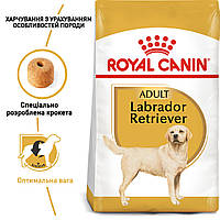 Royal Canin Labrador Retriever 30 Adult сухой корм для взрослых собак породы Лабрадор ретривер от 15 мес, 12КГ