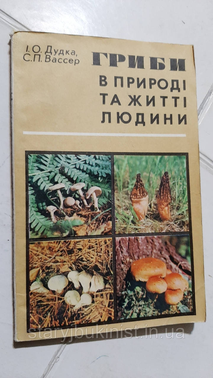 Гриби в природі та житті людини І.Дудка