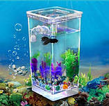 Акваріум самоочисний My Fun Fish, фото 4