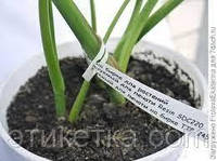 Бирка для растений в рулоне типа замок петелька 17x190/ 2 тысячи (вт41)