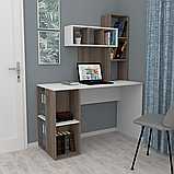 Комп'ютерний стіл ЛЕГА - 42 з надбудовою (LEGA), фото 3