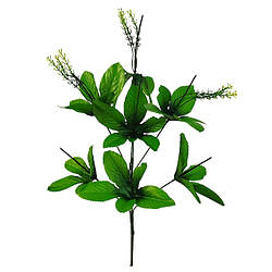 Ніжка букетний з листом