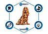 Advance (Едванс) Dog Medium Adult - Корм для дорослих собак середніх порід 18 кг, фото 6