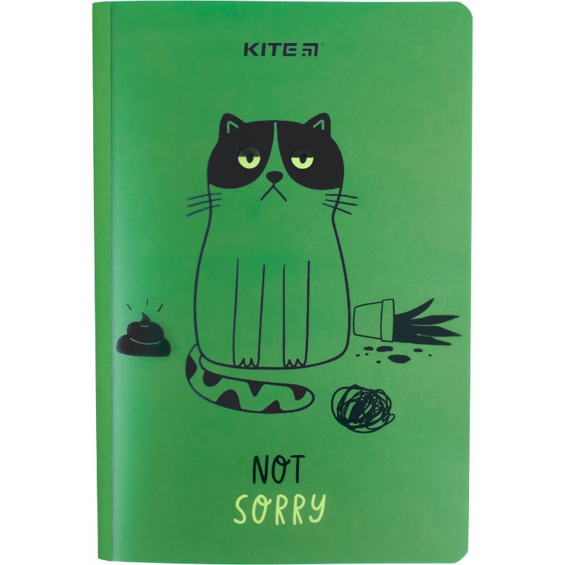 Блокнот А5 40арк., в клітинку, пластикова обкладинка подвійна Kite Sorry cat