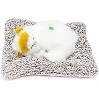 Котик-пухнастикна килимку, вид 1