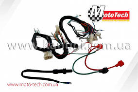 Центральне проведення ALPHA