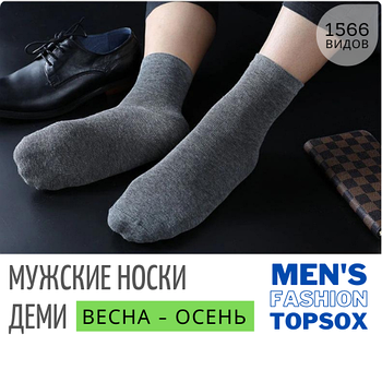 Носки мужские демисезонные