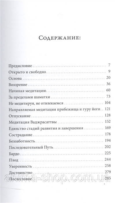 Беззаботное достоинство. Учение о природе ума. Цокньи Ринпоче - фото 2 - id-p423641141