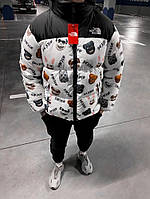 Куртка зимова в стилі The North Face біла (морди)