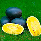 Насіння Кавун Жовтий цукор 8 сем (zip-пакет), фото 2